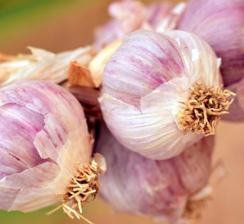 Aglio, pungente con sapore
