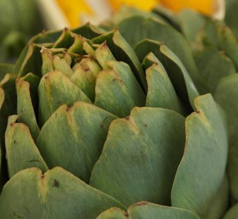 Carciofo, come conservarlo e utilizzarlo in sfiziose ricette