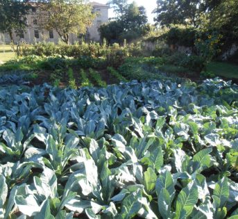 Un orto da RE: abbiamo fatto 100 con un giardino da perdere il fiato