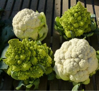 Cavolfiore, un pieno di sapori e salute