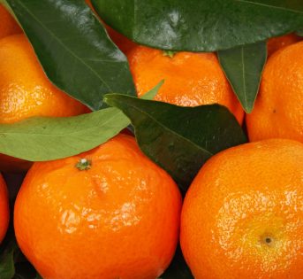 Spesa di gennaio al profumo di agrumi