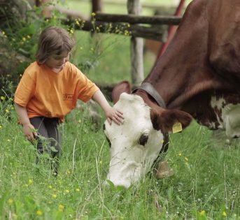 Biodiversità, un tesoro da conservare e proteggere