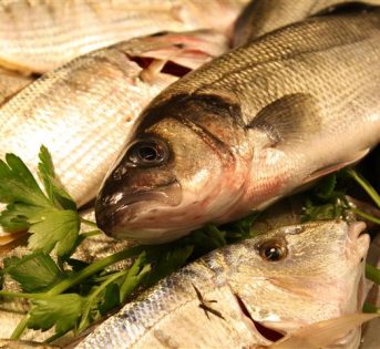 Fermo pesca, stop al pesce fresco nel Tirreno