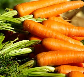 La carota e i suoi molteplici benefici