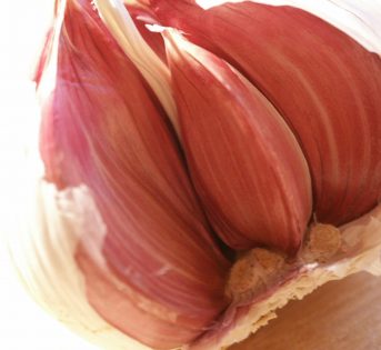 Orto, le semine di novembre