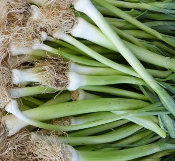 Porro: un concentrato di aroma, sapore e salute