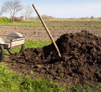 Arriva l’inverno, è tempo di concimare