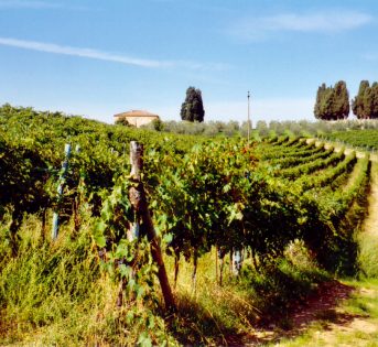 Settembre, il mese giusto per una vacanza in campagna