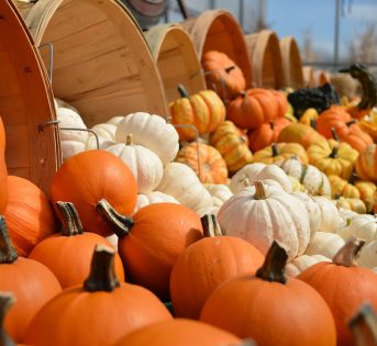 Zucca, l’arancione che fa bene. La ricetta della vellutata