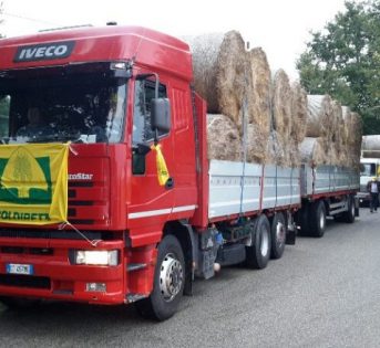 Sisma: arriva fieno salva mucche in vista dell’inverno