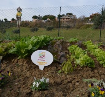 I mille colori dell’orto scolastico