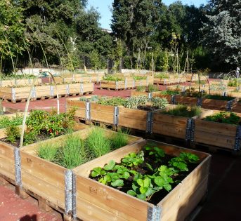 Progetto Nazionale orti urbani