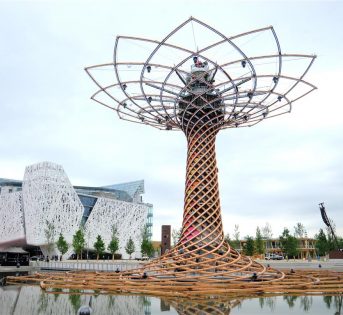 ?Expo 2015, un successo anche per la agricoltura italiana