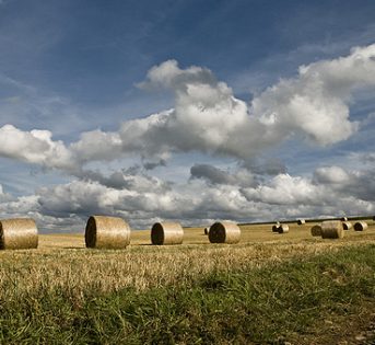 Politica Agricola Comune, cosa c’è da sapere
