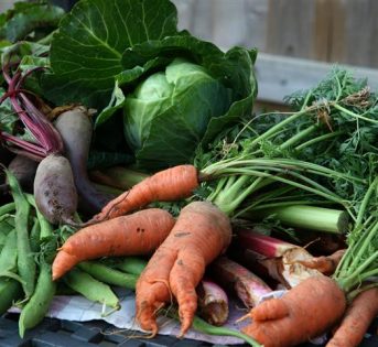 La spesa di marzo, aspettando la primavera