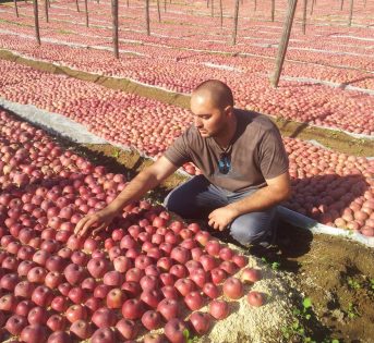 Quando l’agricoltura è anche impegno sociale
