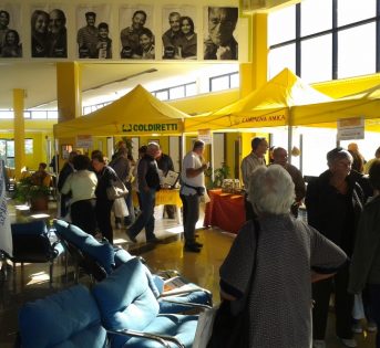 Il Mercato va alle Terme