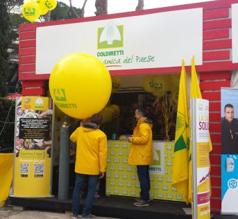 La caciotta solidale al Sei Nazioni di rugby di Roma