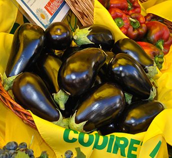 Melanzane e peperoni per colorare piatti estivi