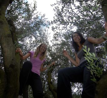 L’agricoltura come job opportunity