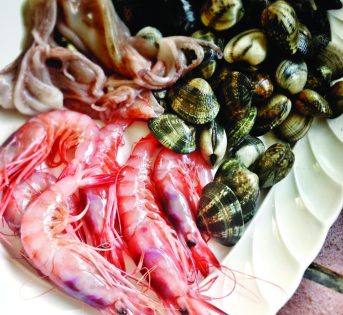 Il tipico approda in riva al mare