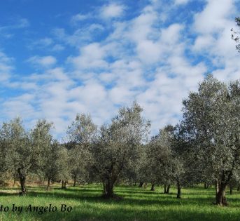 L’agricoltura italiana si classifica prima in Europa
