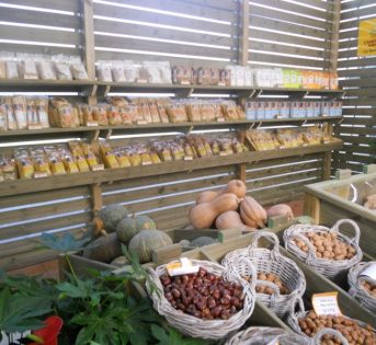 Metti una Bottega nel garden