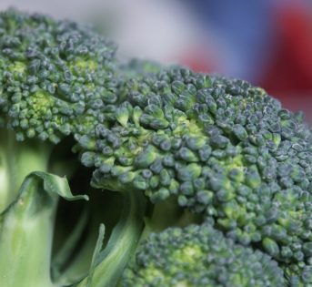 Broccolo, nutriente e povero di grassi