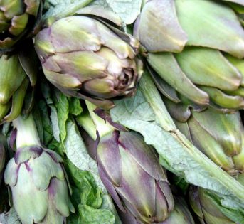 Carciofo: verde, viola e fantasia