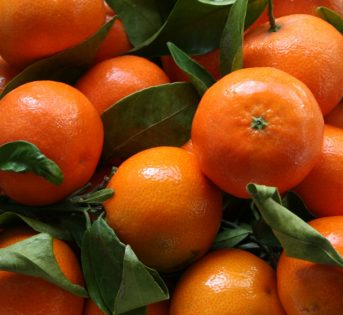Clementine, il felice incontro tra arance e mandarini