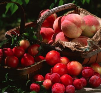 ?Frutta made in Italy a Lido degli Estensi