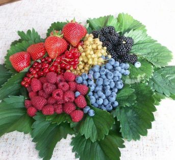 A fine agosto la settimana del Friuli Venezia Giulia a Expo