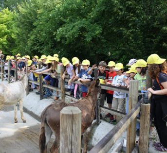 ?Festa di fine stagione per il progetto EduCA