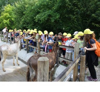 Aziende agricole, niente Iva sulle attività socio-educative