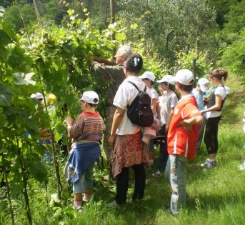 “Estate con noi”: ragazzi in fattoria senza ipad e tv