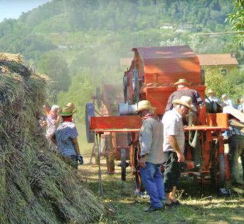 A Rabatta, la festa della trebbiatura
