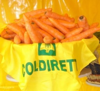 La top ten degli abbronzanti naturali