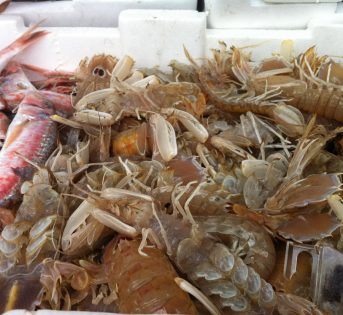 Il pescato fresco viareggino alla Bottega di Bagno a Ripoli