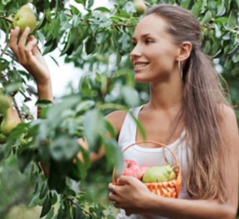 Frutta “pick your own” a Tosi