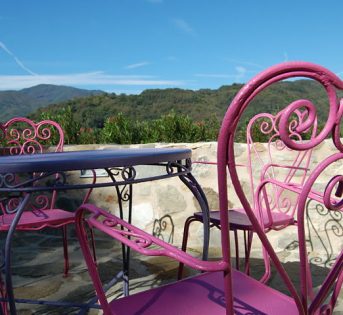 Itinerari nella campagna toscana per il “Terranostra day”