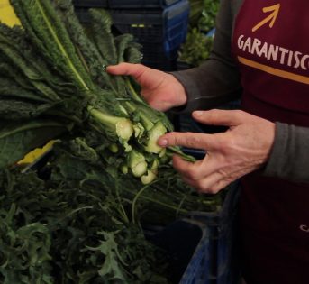 ?I tutorial di Campagna Amica: con noi per una spesa sana e consapevole