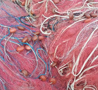 Torna il pesce fresco, finito il fermo in Adriatico