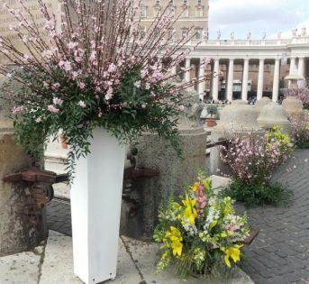 Fiori e aromatiche della Riviera ligure a San Pietro