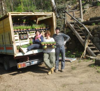 Le erbe officinali diventano agridetergenti