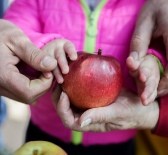 Agricoltura sociale, un mondo di opportunità