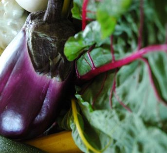 Scopri i segreti della melanzana