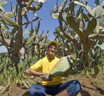 In Italia 3 milioni di “green workers”