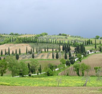 Mugello: le terre dei Medici tra storia e golosità