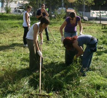 Orti in città: è record con 1,1 milioni di metri quadri