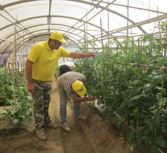 L’agricoltura come opportunità di riscatto sociale